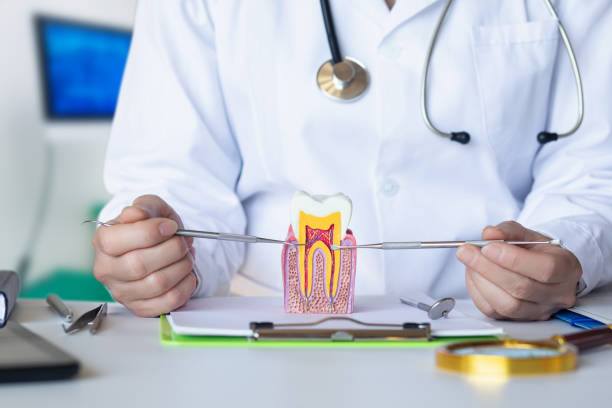 Best Emergency Dentist for Lost Fillings or Crowns in , IN